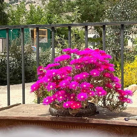 El Retiro